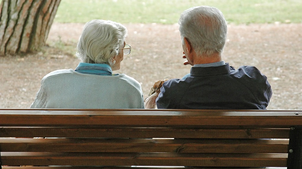 simulazione prestito pensionati inps